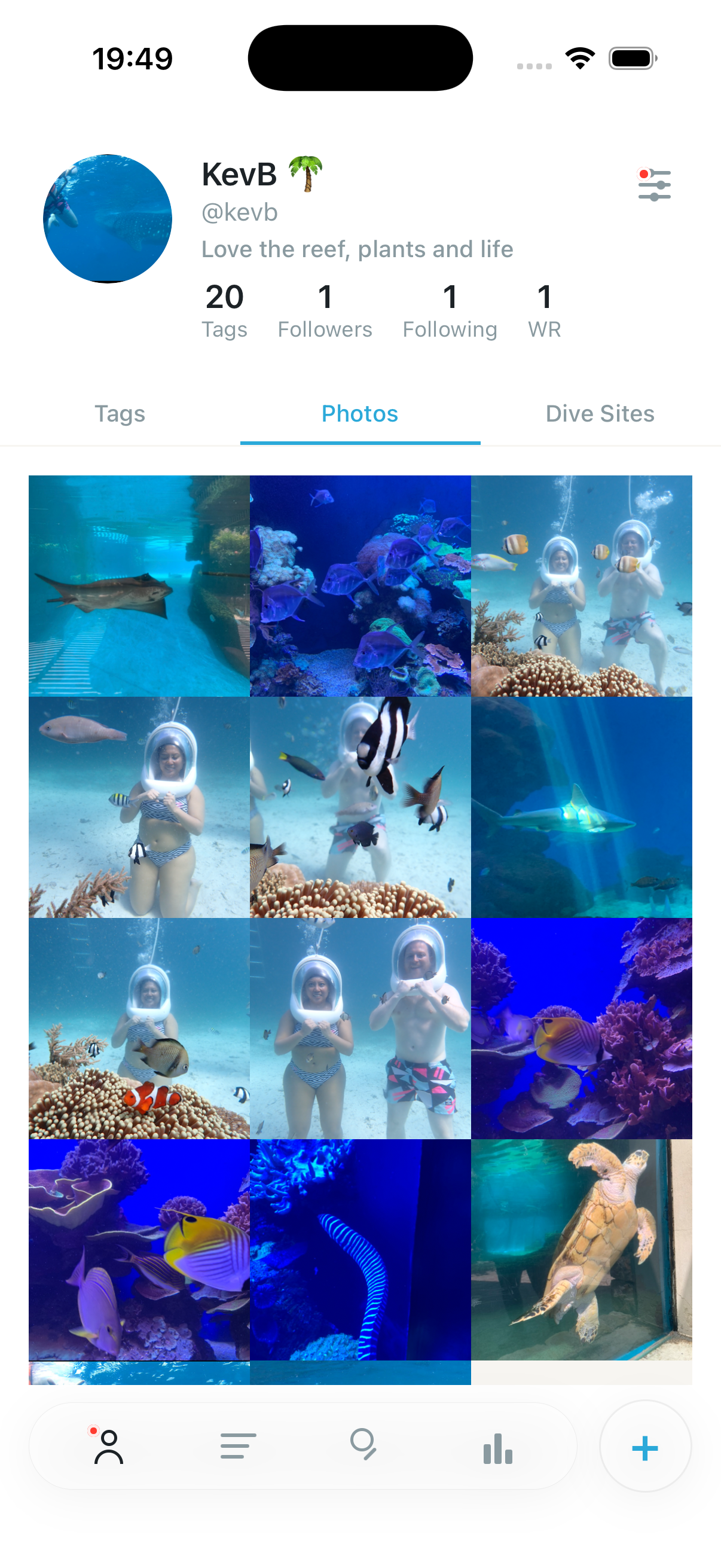 Photo portfolio grid